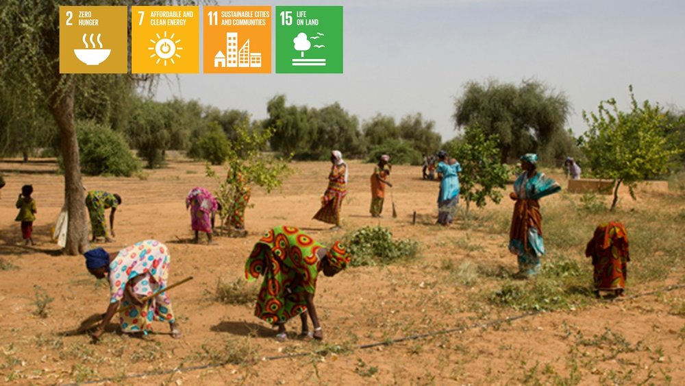 The Sahel - A Land of Opportunity